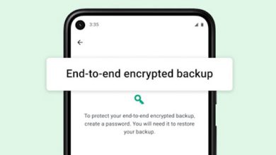 واتس اب بات يوفر خاصية تشفير النسخ الاحتياطية!